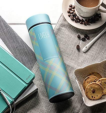 Treasure Exports Stainless Steel Double Wall Vacuum Insulated Flask 480 ml, Sky Blue