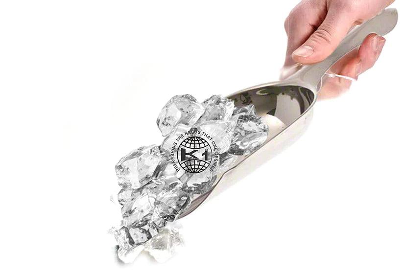 Treasure Exports Stainless Steel Ice Bucket and Tong Set of 2 Pieces - TREASURE EXPORTS