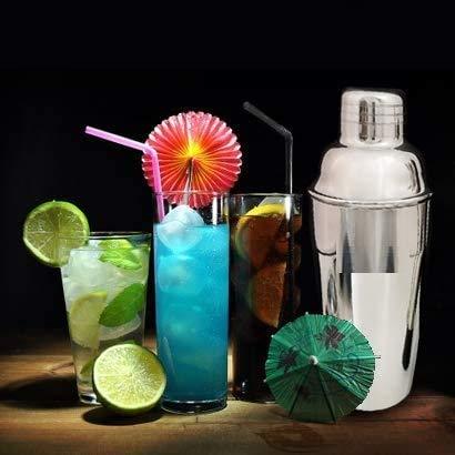 Treasure Exports Cocktail shaker set of 4 - TREASURE EXPORTS